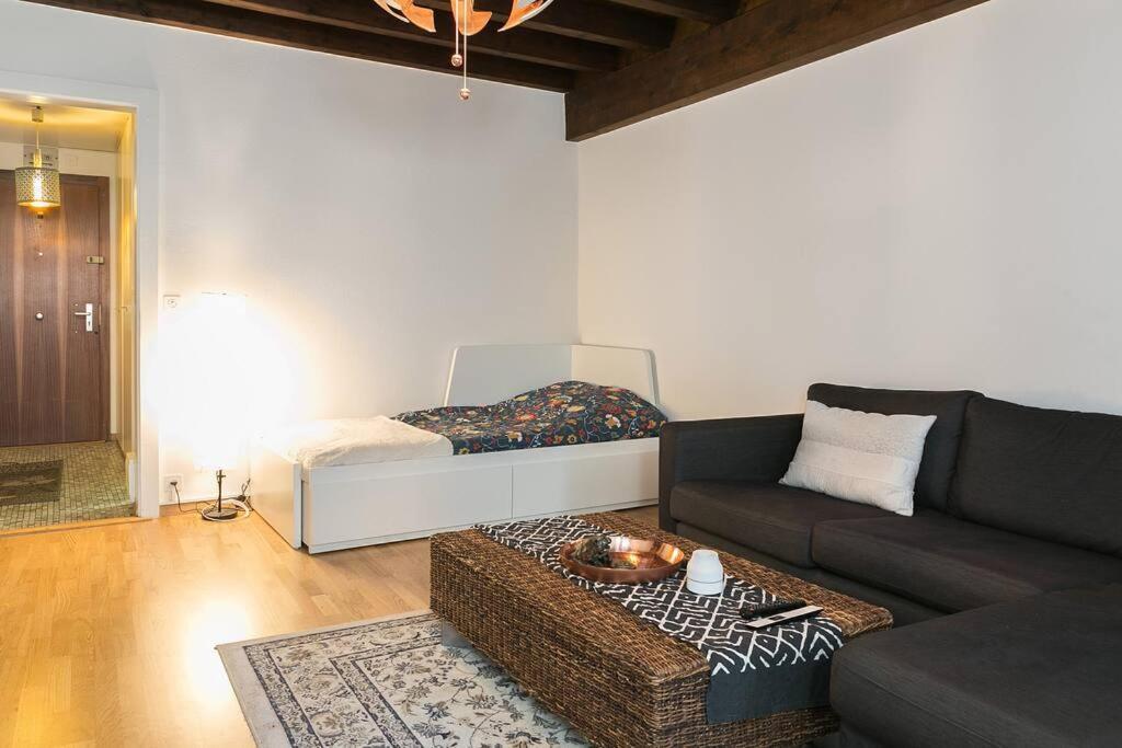 Magnifique En Plein Centre De Apartment *