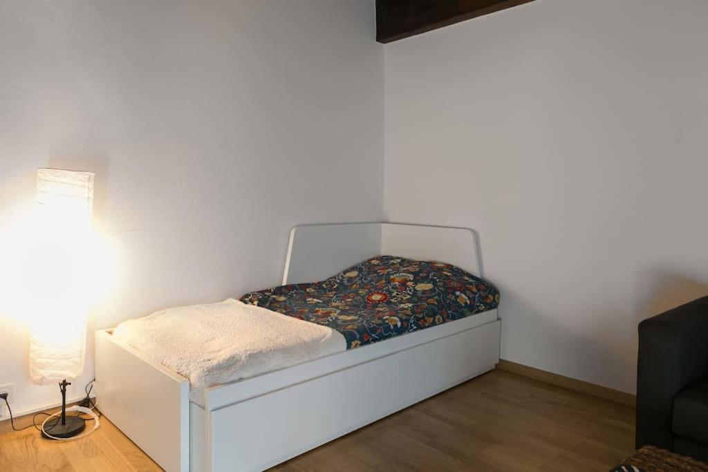 Magnifique En Plein Centre De Appartement